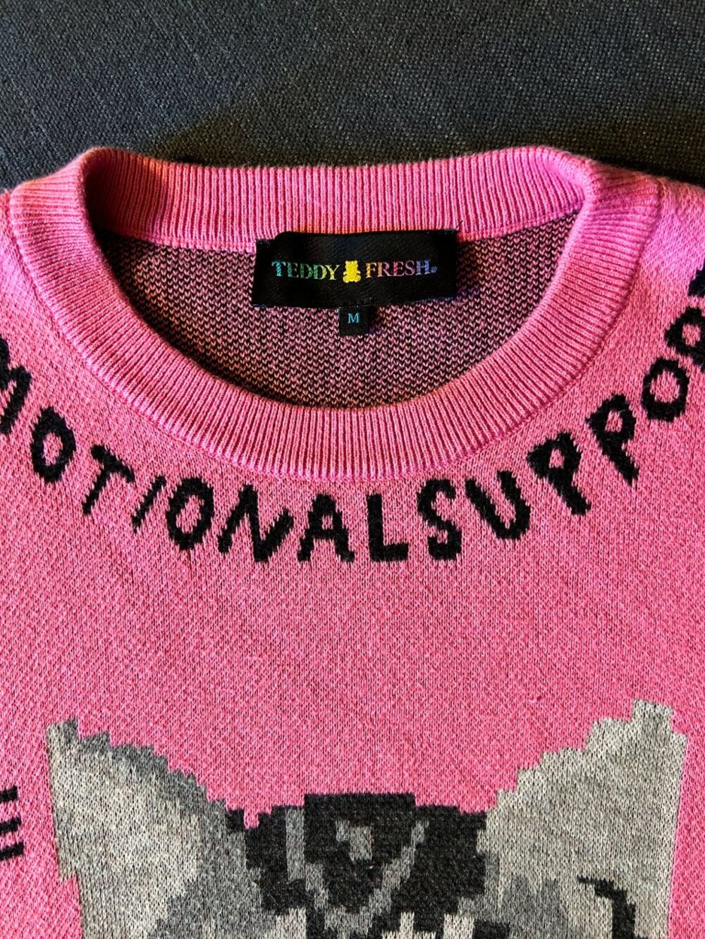 Teddy Fresh Emotional Support Cat Sweater Pink Graphic Knit Pullover Size M - Picture 2 of 3